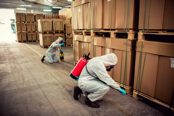 Best Pest Control Near Me in Fairmount, NY