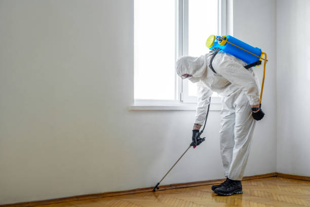 Best Residential Pest Control  in Fairmount, NY