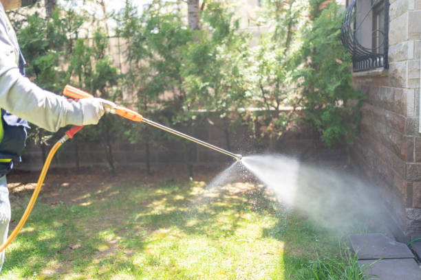 Best Spider Control Near Me  in Fairmount, NY