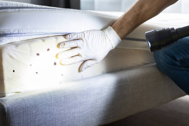 Pest Prevention Services in Fairmount, NY