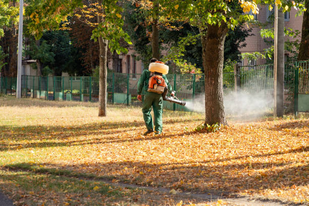 Best Rat Extermination Near Me  in Fairmount, NY