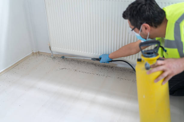 Best Commercial Pest Control Services  in Fairmount, NY