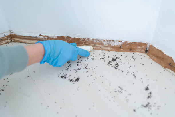Best Wildlife Control Services  in Fairmount, NY