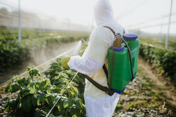 Reliable Fairmount, NY Pest Control Solutions